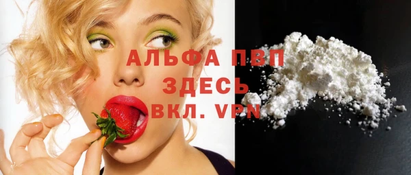 шишки Белоозёрский