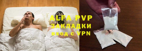 шишки Белоозёрский