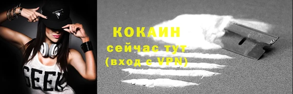 стаф Балахна