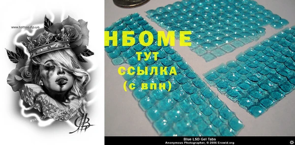 шишки Белоозёрский