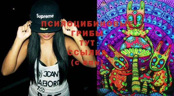 шишки Белоозёрский