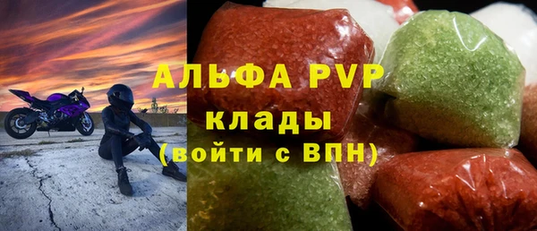 шишки Белоозёрский