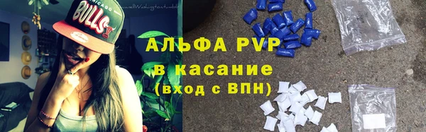 стаф Балахна