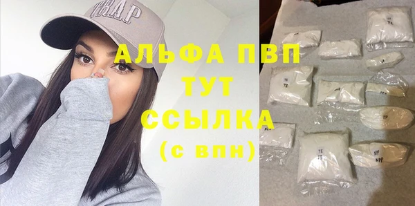 шишки Белоозёрский